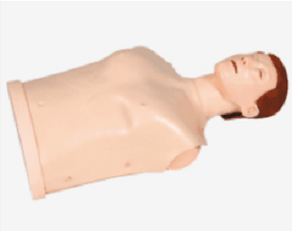 挪度半身训练模拟人(简易型) GD/CPR10170 图片 1